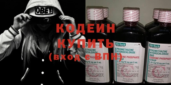 молекула духа Осинники